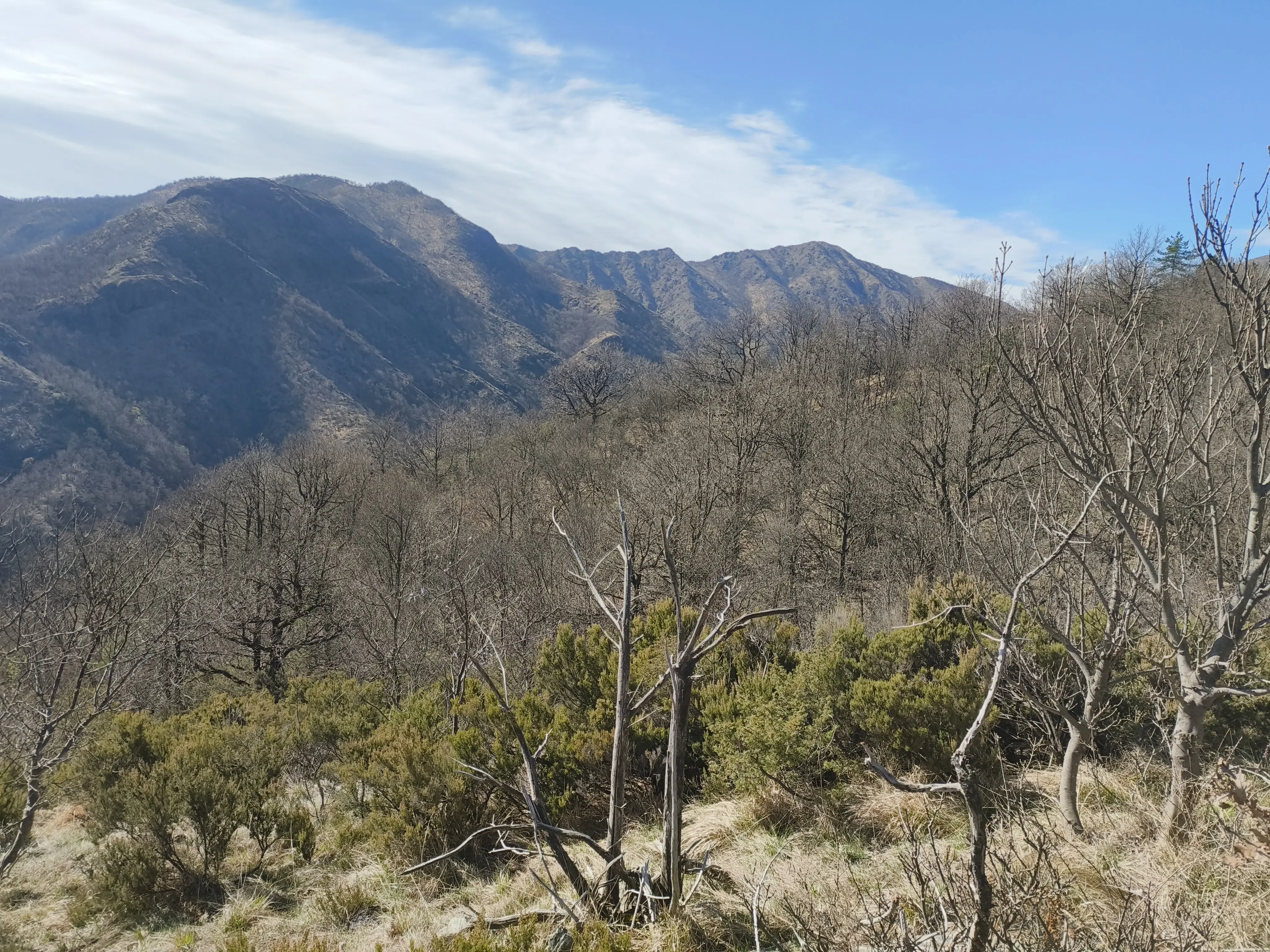Vista a sinistra