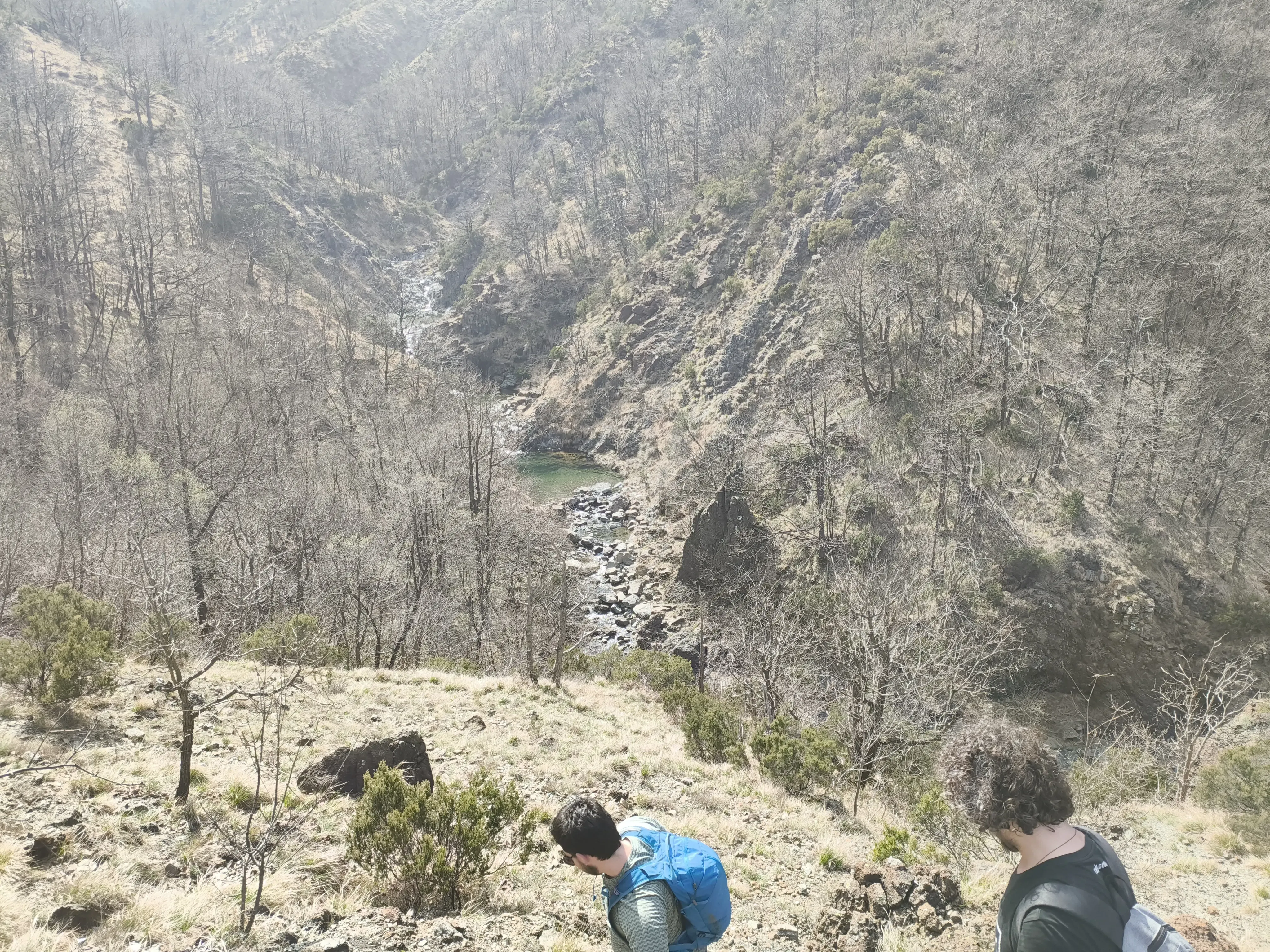 Torrente