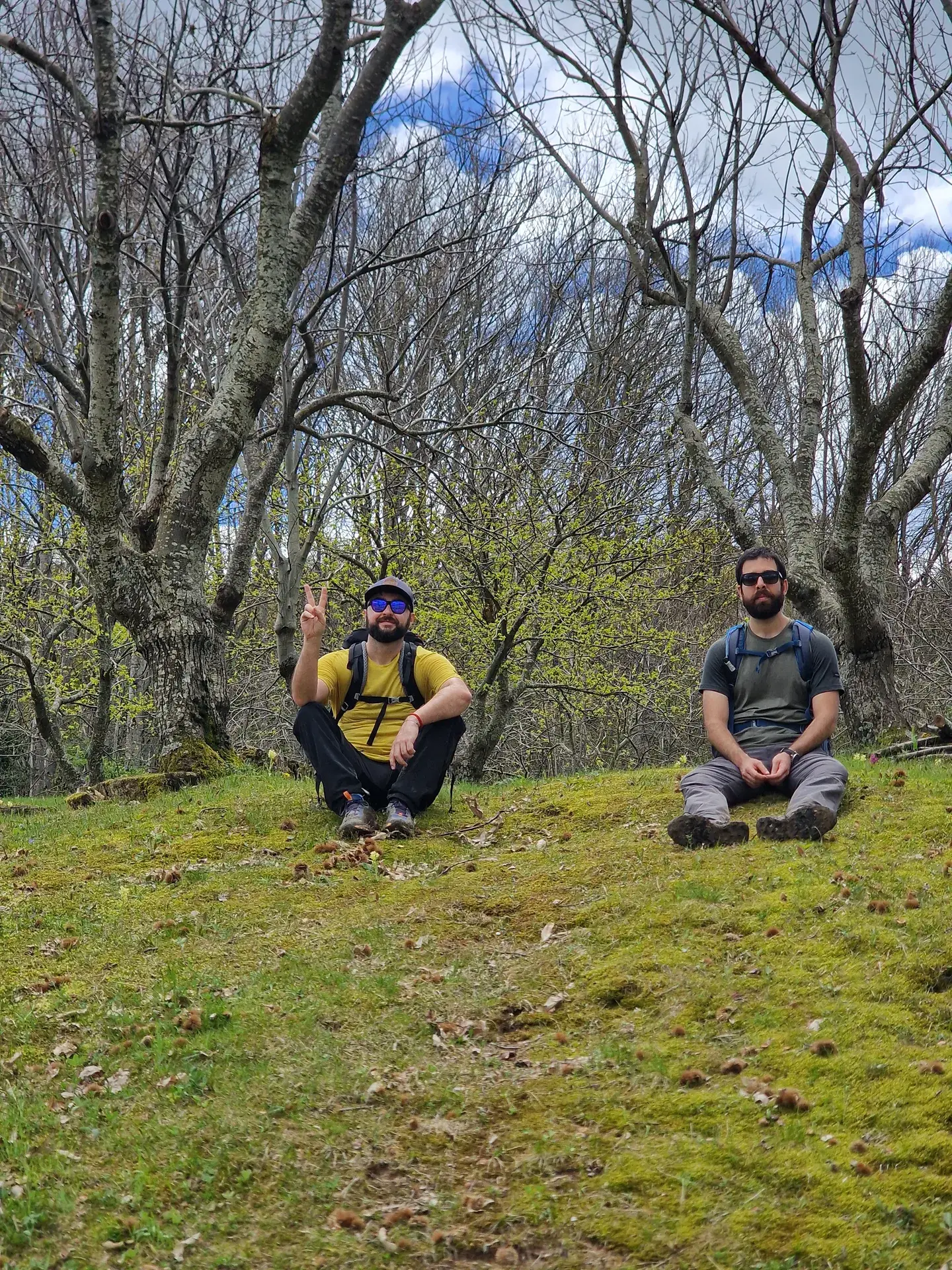 Sembra la copertina di un album